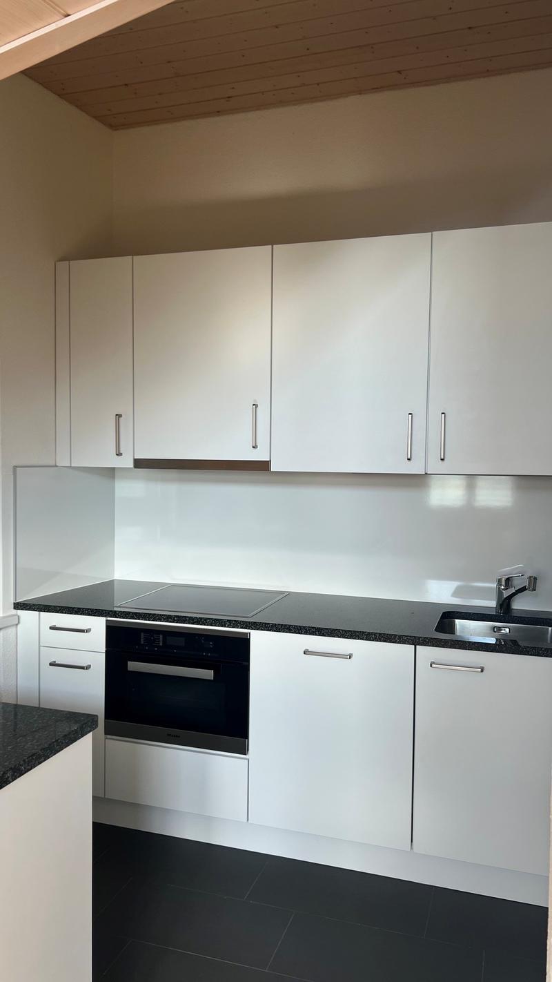 Delizioso appartamento a maisonnette di 2 camere a Dornach – disponibile immediatamente (4)