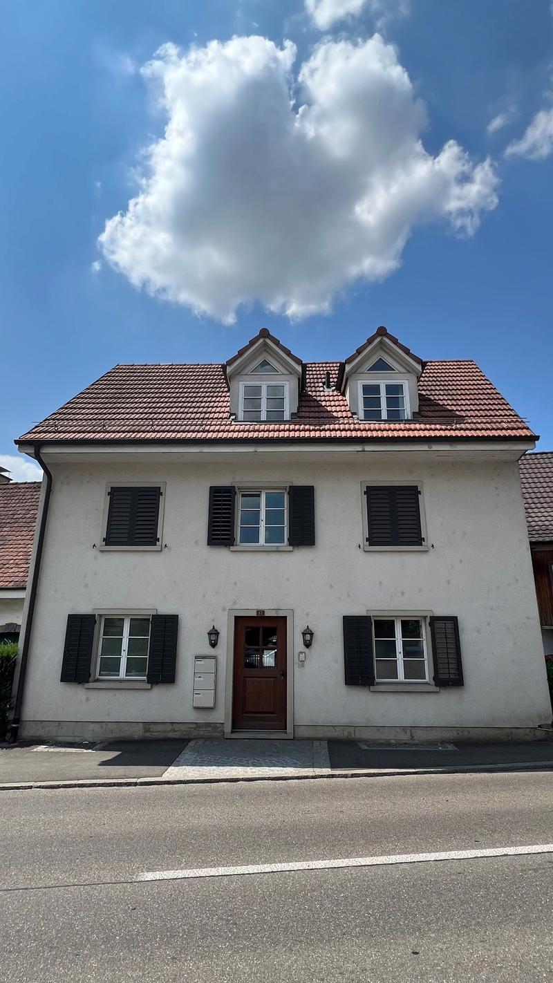 Delizioso appartamento a maisonnette di 2 camere a Dornach – disponibile immediatamente (1)