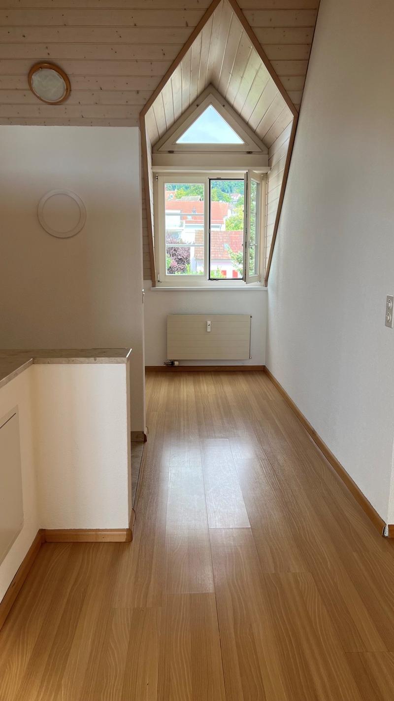 Delizioso appartamento a maisonnette di 2 camere a Dornach – disponibile immediatamente (5)