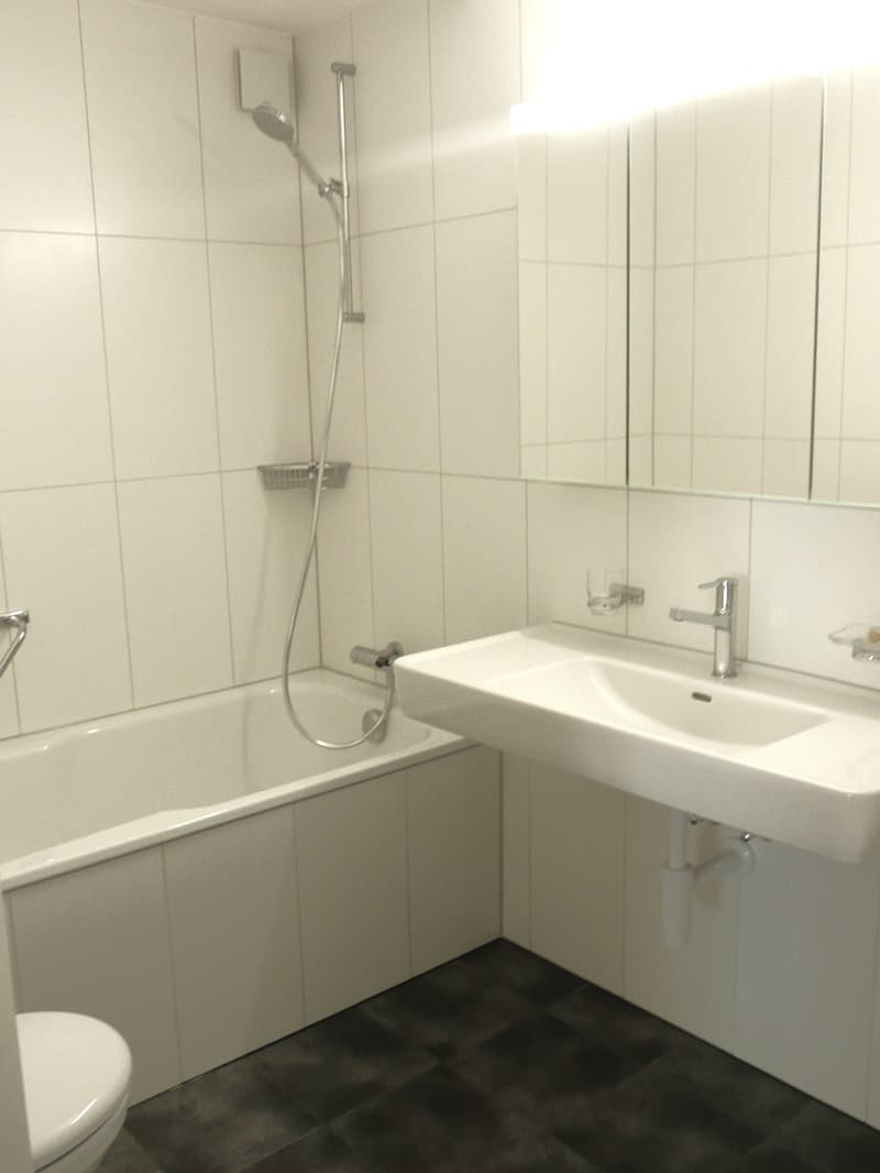 Charmant appartement 2.5 pièces avec balcon et cheminée à Liestal (4)
