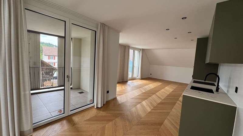 Ampio e moderno appartamento di 3,5 locali (1)
