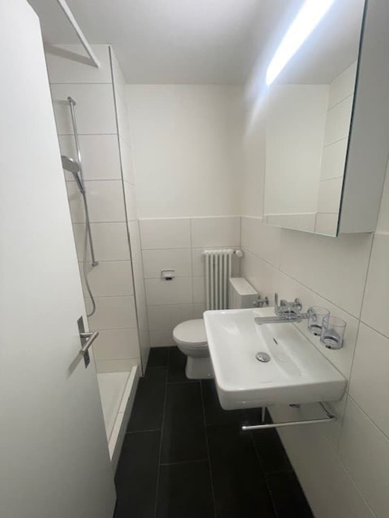 Modernes Wohnen Nähe Bahnhof und Zentrum (9)
