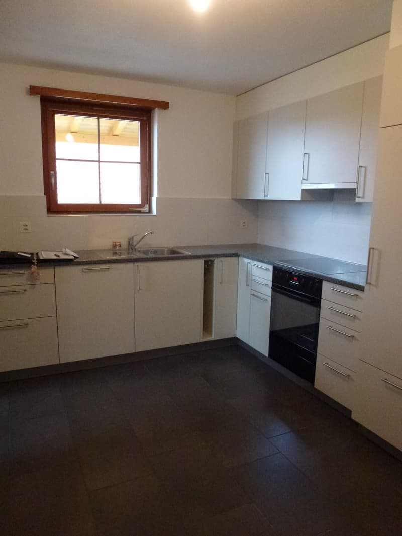 Grosszügige Maisonettewohnung im Grünen (2)