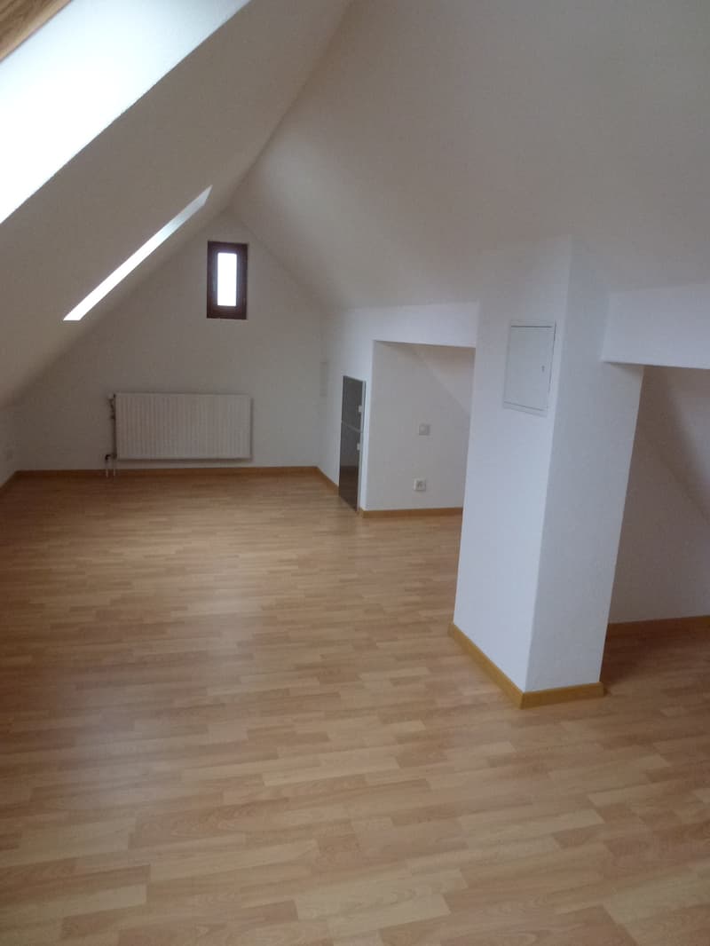 Grosszügige Maisonettewohnung im Grünen (5)