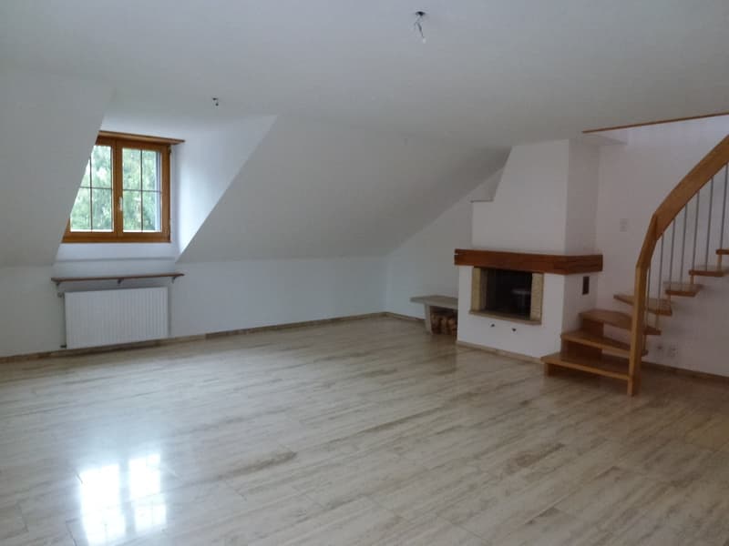 Grosszügige Maisonettewohnung im Grünen (6)