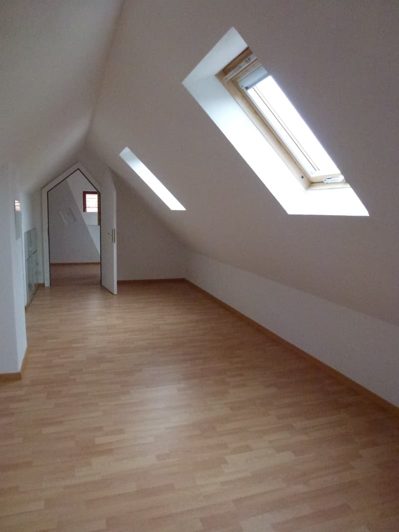 Grosszügige Maisonettewohnung im Grünen (7)
