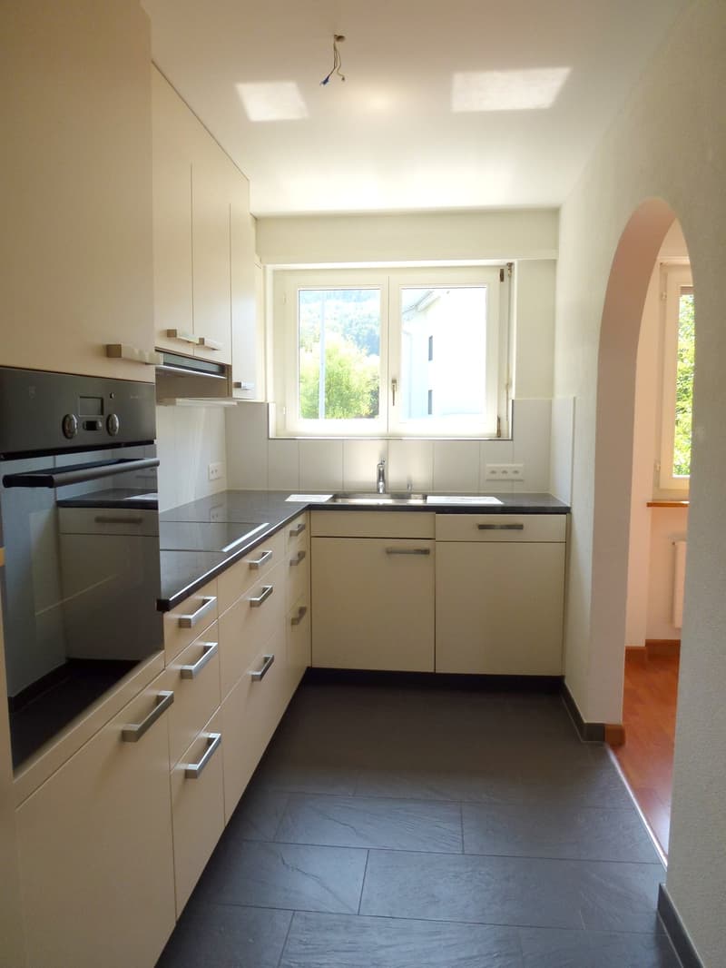 Moderne, neue Küche