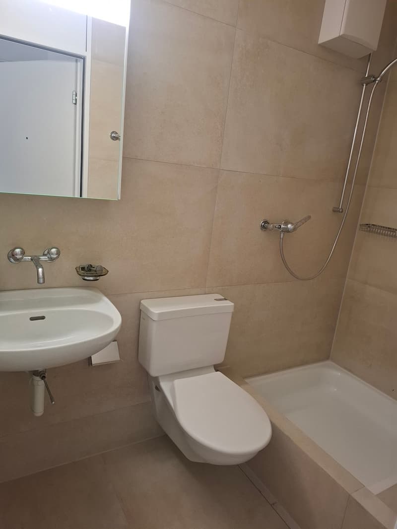 Helle 3.5-Zimmer-Wohnung mit 2 Balkone (15)