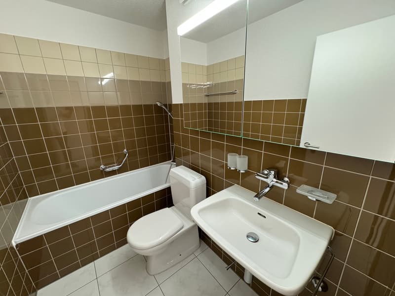 bathroom with brown tiled walls, white tiled floor, white bathtub, white toilet, white sink, silver faucet