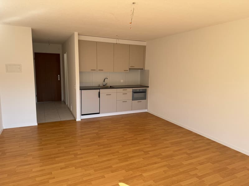Empty room with modern kitchen with countertops, drawers, cabinets, sink, faucet, oven, laminate flooring