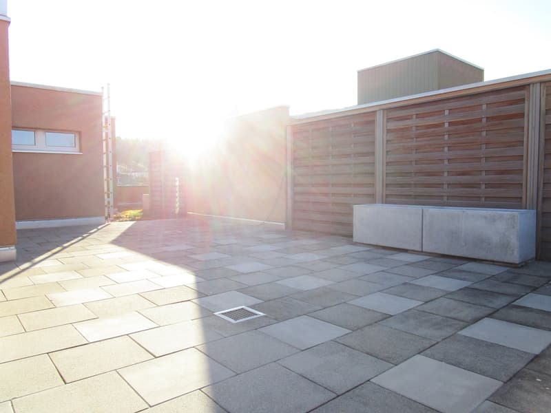 Slate-paved outdoor area, wooden fencing, clear view of the sky