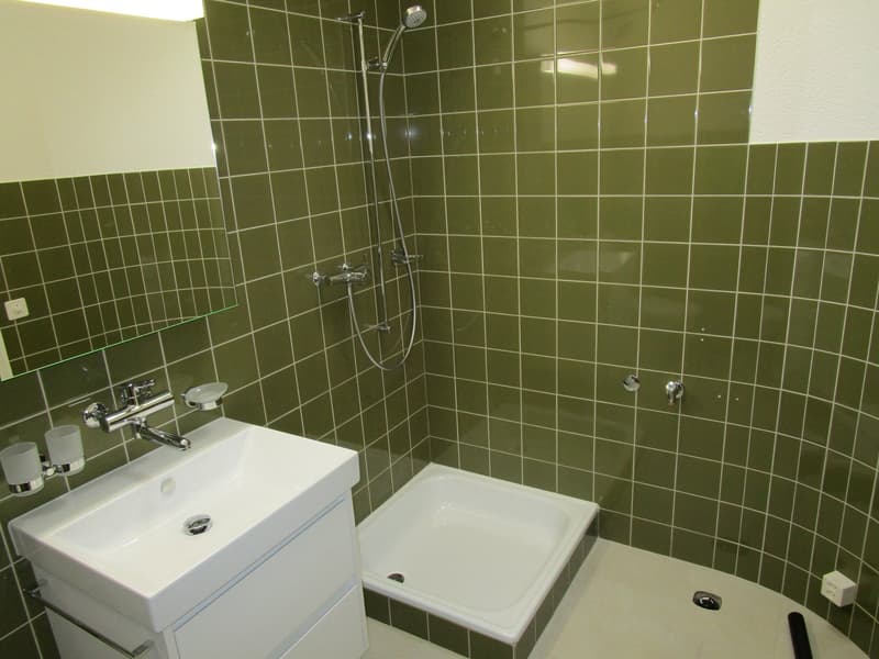 modern bathroom, green tiled wall, white sink, glass mirror, shower cubicle, walk-in shower, faucet, soap dish