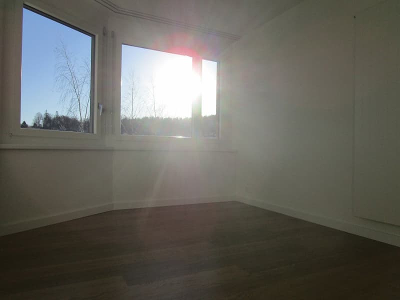 Empty room with sunlight coming through windows, hardwood floors, white walls