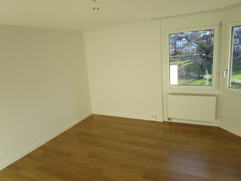 empty room, wooden floor, double windows, white walls, white radiator