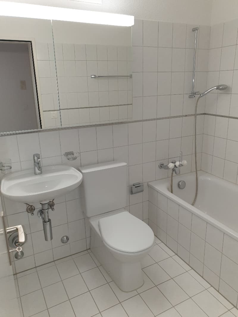 Bright 3.5-room apartment with 2 balconies (3)