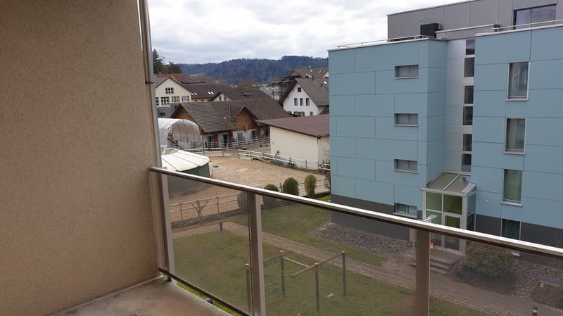 Bright 3.5-room apartment with 2 balconies (10)