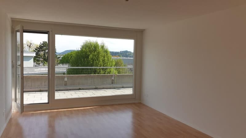 Appartamento luminoso, grande, 5,5 locali con vista (11)