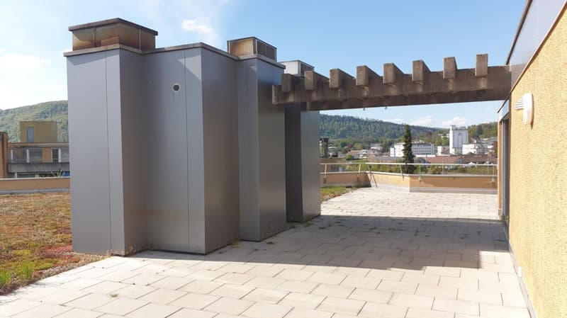 Appartamento luminoso, grande, 5,5 locali con vista (18)