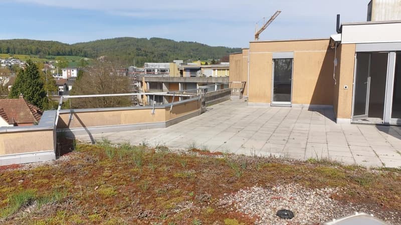 Appartamento luminoso, grande, 5,5 locali con vista (17)