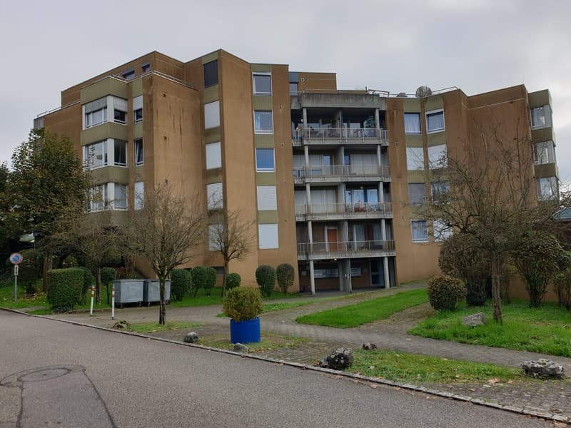 Appartamento luminoso, grande, 5,5 locali con vista (1)