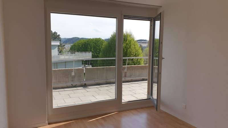 Appartamento luminoso, grande, 5,5 locali con vista (13)