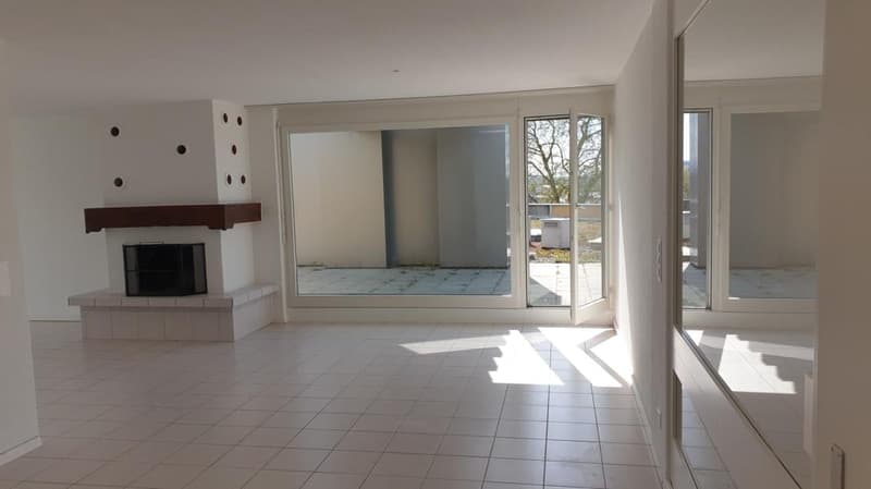Appartamento luminoso, grande, 5,5 locali con vista (9)