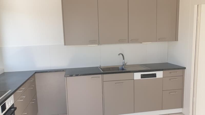 Appartamento luminoso, grande, 5,5 locali con vista (3)