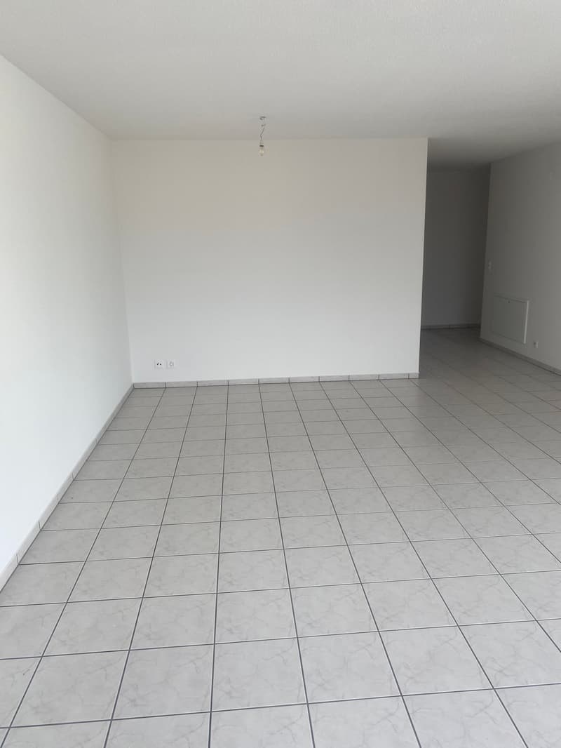 Appartamento in attico ristrutturato di 3,5 locali con grande terrazza (9)