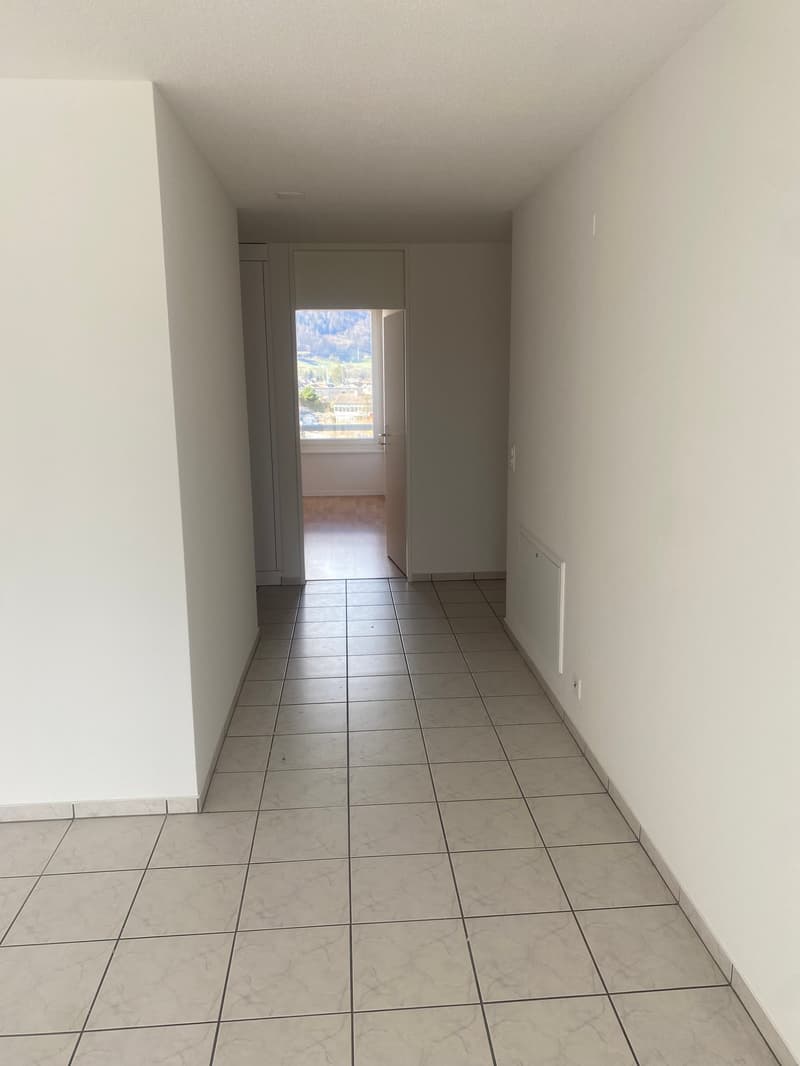 Appartamento in attico ristrutturato di 3,5 locali con grande terrazza (12)