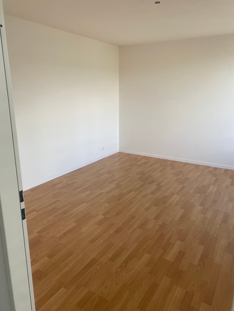 Appartamento in attico ristrutturato di 3,5 locali con grande terrazza (16)