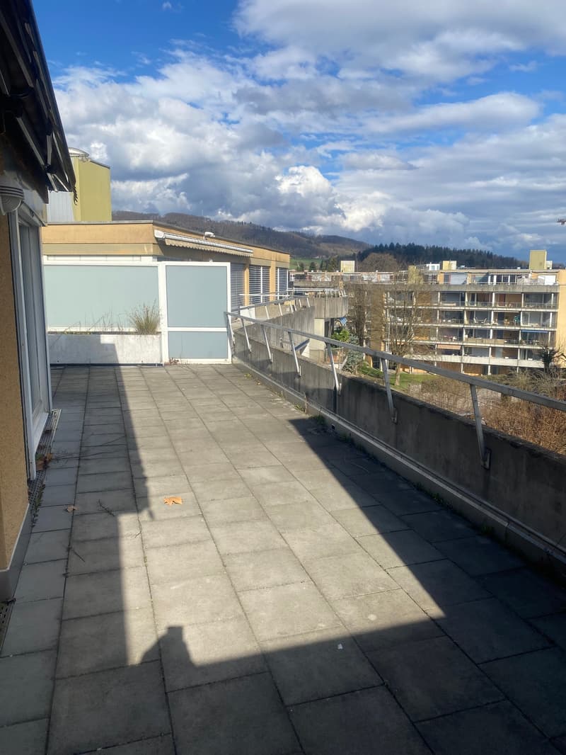 Appartamento in attico ristrutturato di 3,5 locali con grande terrazza (21)