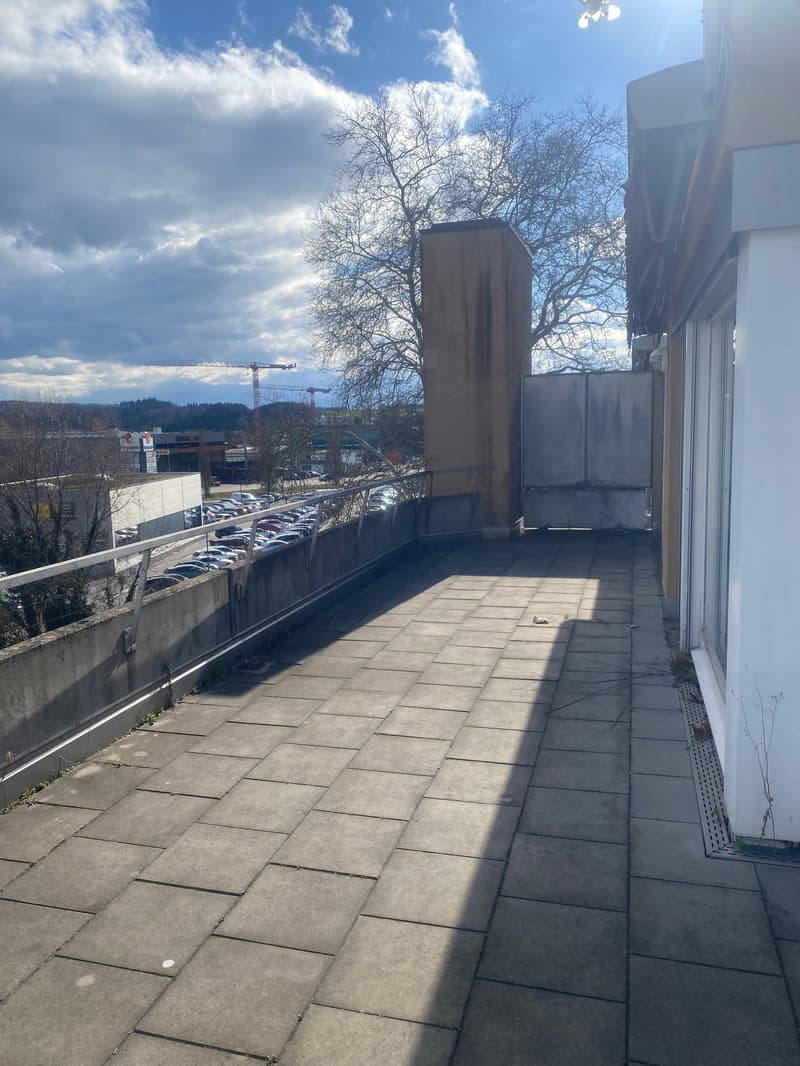 Appartamento in attico ristrutturato di 3,5 locali con grande terrazza (19)