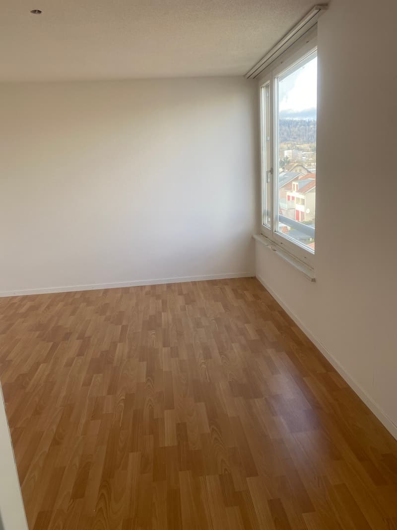 Appartamento in attico ristrutturato di 3,5 locali con grande terrazza (17)
