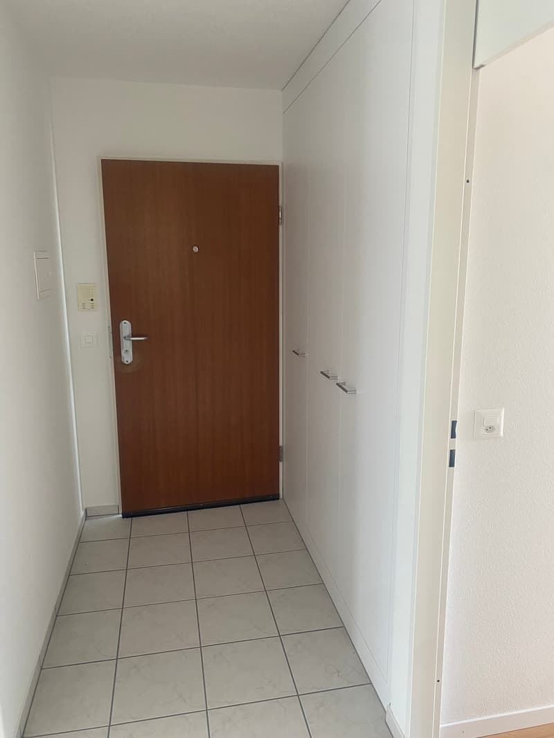 Appartamento in attico ristrutturato di 3,5 locali con grande terrazza (15)