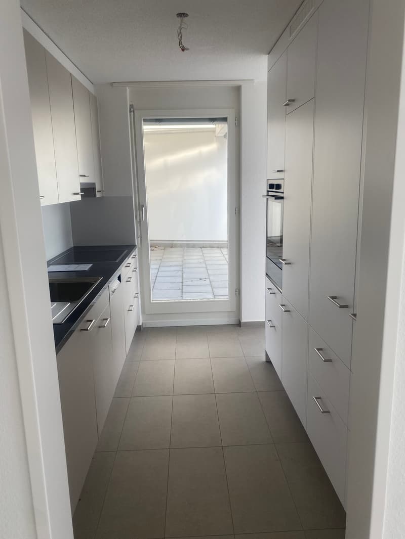 Appartamento in attico ristrutturato di 3,5 locali con grande terrazza (3)