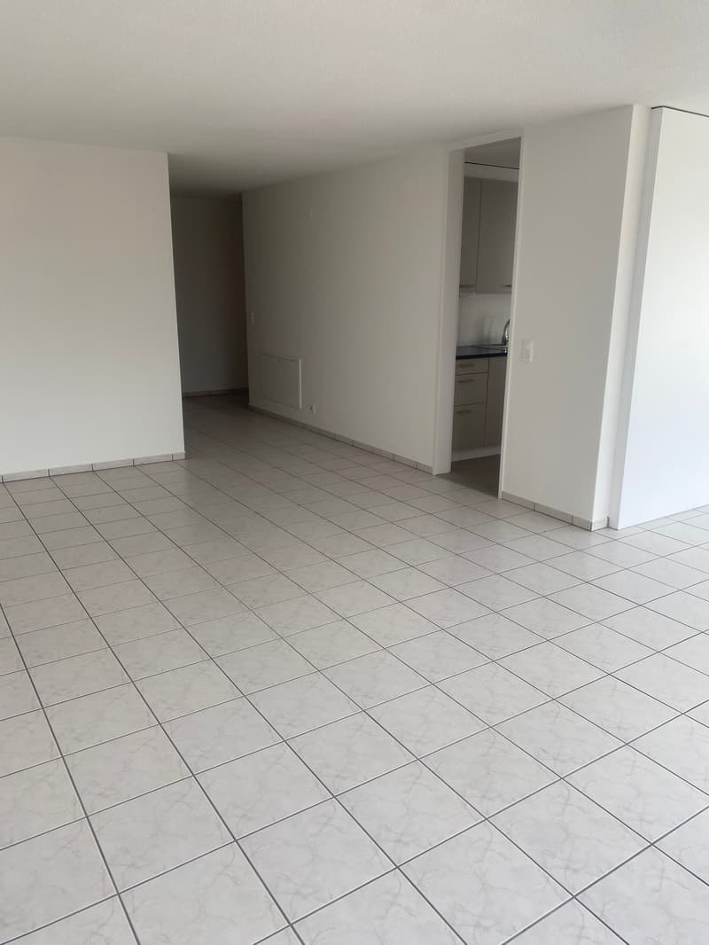 Appartamento in attico ristrutturato di 3,5 locali con grande terrazza (10)