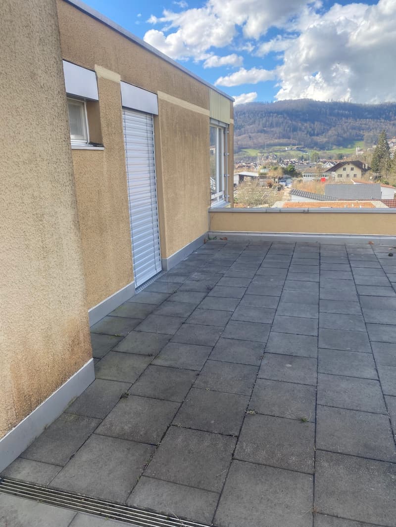 Appartamento in attico ristrutturato di 3,5 locali con grande terrazza (23)