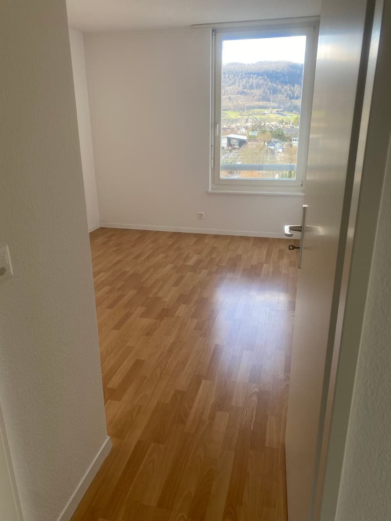 Appartamento in attico ristrutturato di 3,5 locali con grande terrazza (18)
