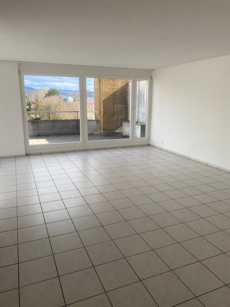 Appartamento in attico ristrutturato di 3,5 locali con grande terrazza (8)