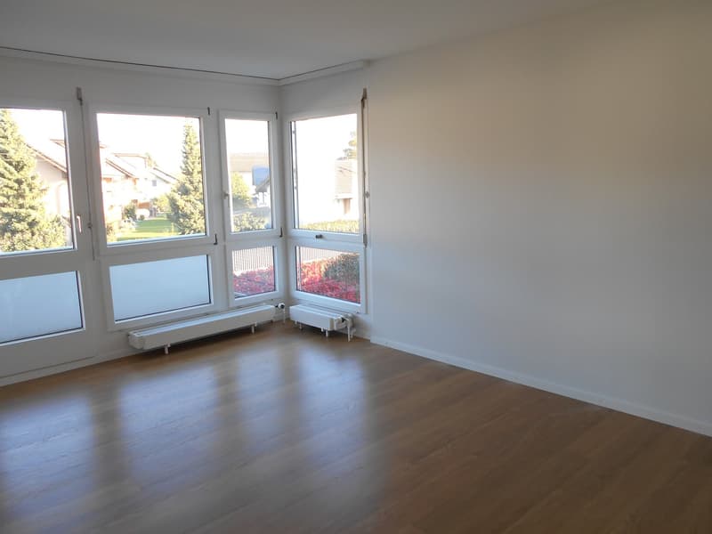 Près de la ville et du lac - appartement de 3 pièces confortable (1)