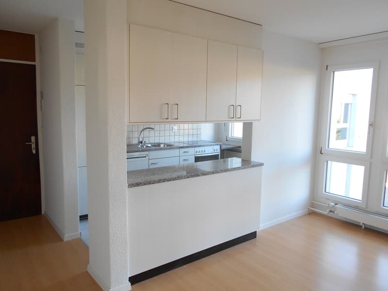 Près de la ville et du lac - appartement de 3 pièces confortable (2)