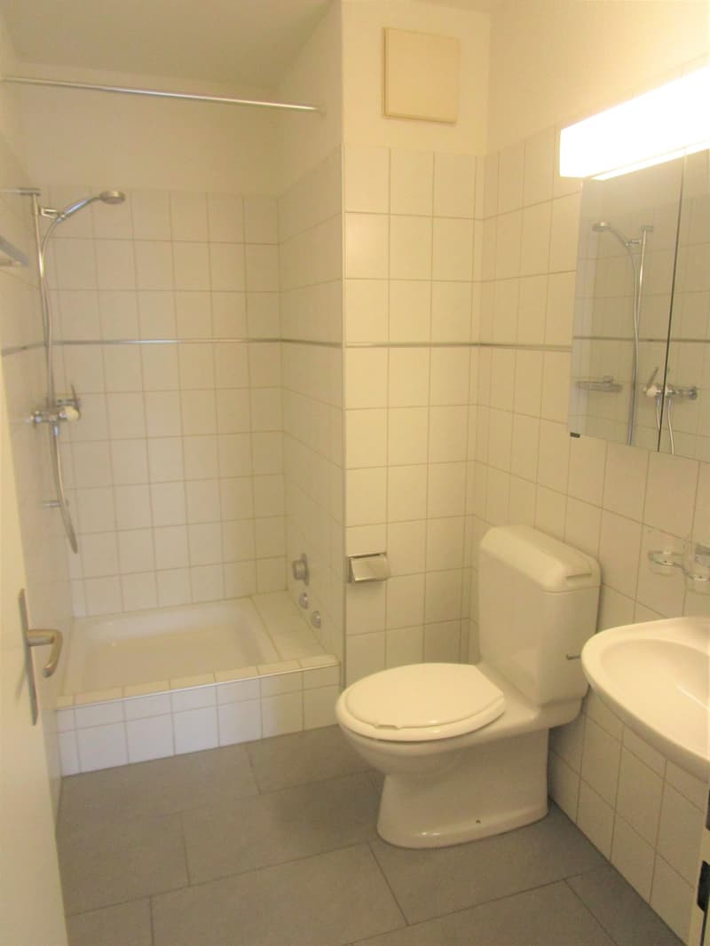Ortszentrum - schöne 4.5 Zimmerwohnung mit Sitzplatz (9)