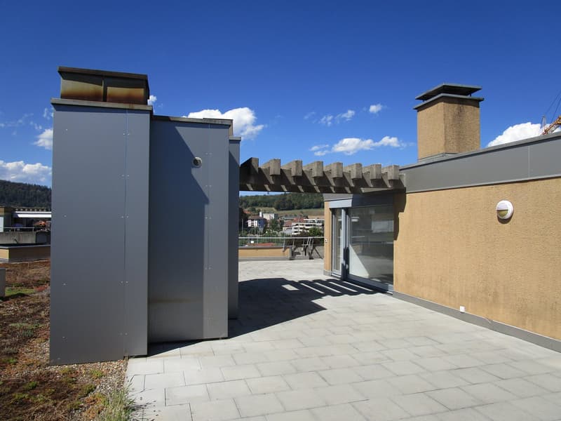 5.5-Zimmer-Attikawohnung mit Terrasse und Weitsicht in Oftringen (17)