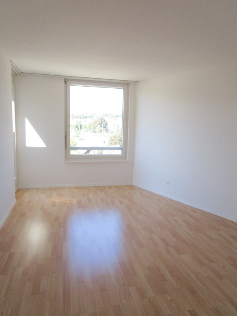 5.5-Zimmer-Attikawohnung mit Terrasse und Weitsicht in Oftringen (10)