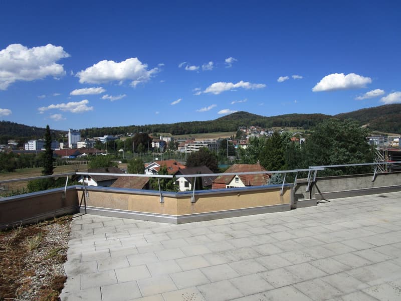 5.5-Zimmer-Attikawohnung mit Terrasse und Weitsicht in Oftringen (15)