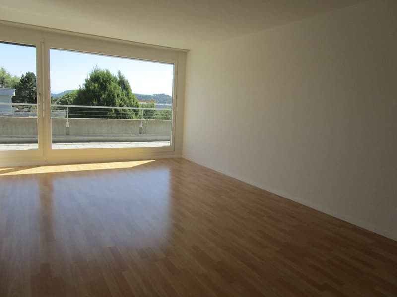 5.5-Zimmer-Attikawohnung mit Terrasse und Weitsicht in Oftringen (7)