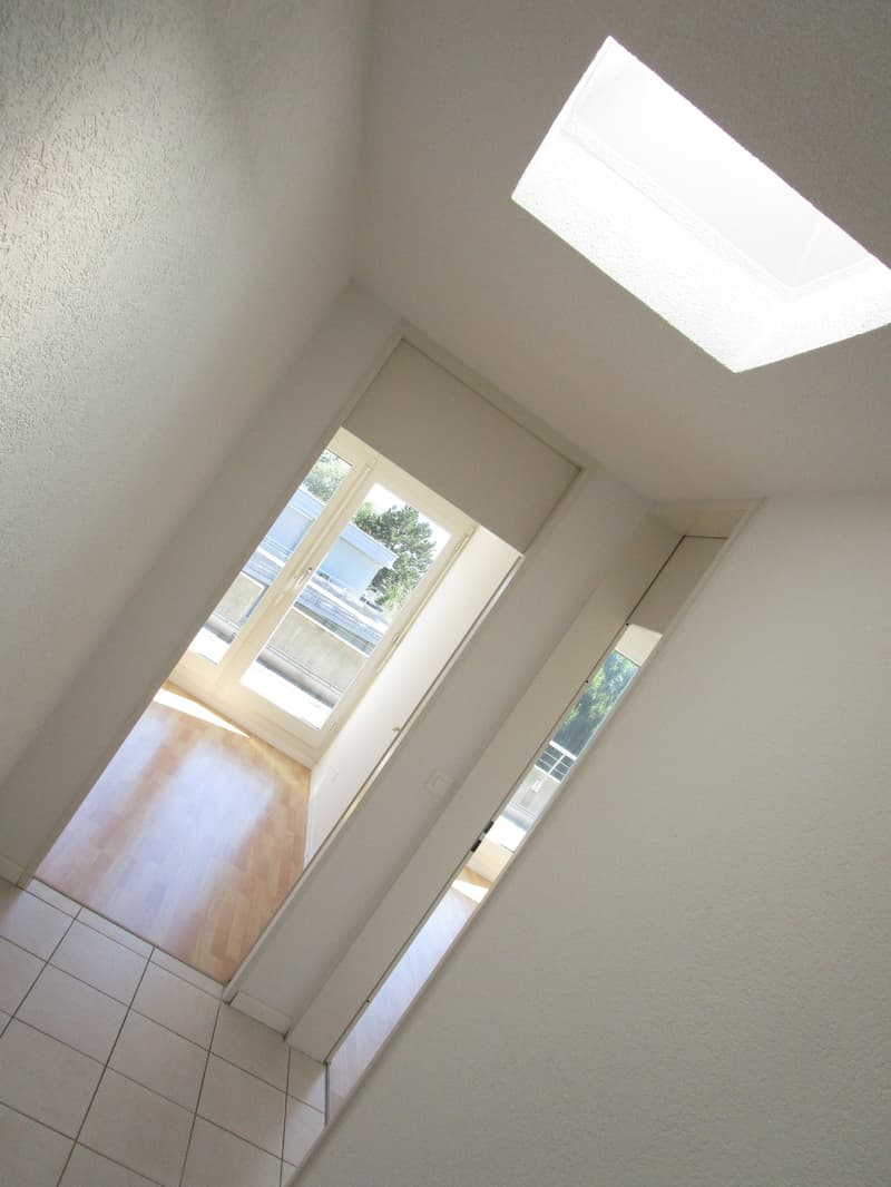 5.5-Zimmer-Attikawohnung mit Terrasse und Weitsicht in Oftringen (6)