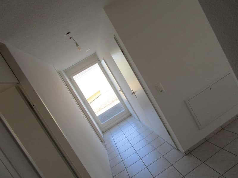 3.5-Zimmer-Attikawohnung mit neuer Küche (11)