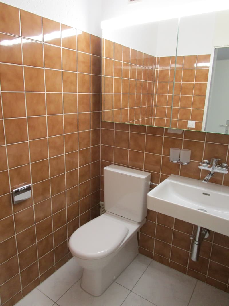 3.5-Zimmerwohnung mit neuer Küche (9)