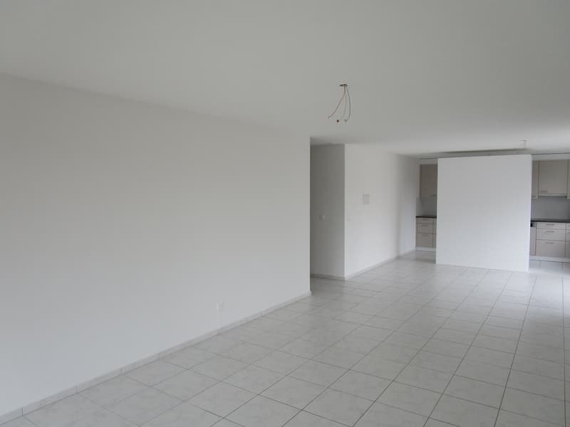 3.5-Zimmerwohnung mit neuer Küche (8)